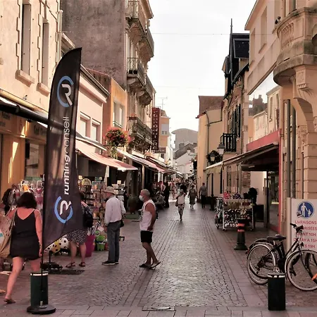 Studio Le Remblai A 150m De La Plage 아파트 *