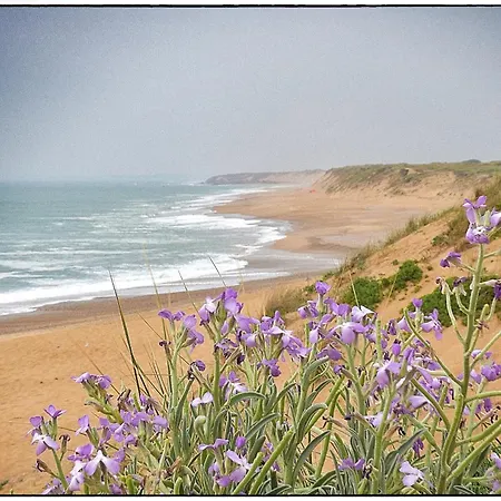 Lejlighed Studio Le Remblai A 150m De La Plage
